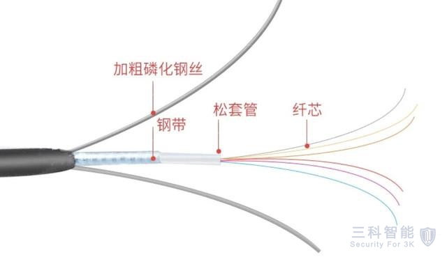 深夜福利APP下载光纤